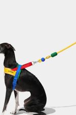 VETRESKA Connect Chroma Hands-Free Rope Leash for Pets
