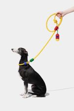 VETRESKA Connect Chroma Hands-Free Rope Leash for Pets