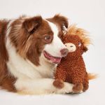 PETTA BRINQUEDO PELÚCIA PARA CÃES FOFOS ANIMAIS GADO ESCOCIA