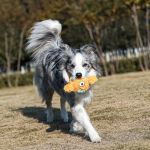 PETTA PELUCIA CÃES QMONSTER BABY CICLOPE