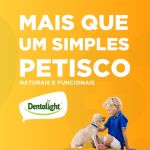 DENT FRESH  360 - SALMAO E LINHACA - 18 UNIDADES