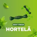 DENT FRESH 360 - HORTELA - 18 UNIDADES