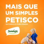 DENT FRESH 360 - LARANJA - 18 UNIDADES