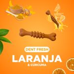 DENT FRESH 360 - LARANJA - 18 UNIDADES