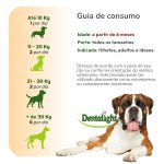 DENT FRESH 360 - LARANJA - 18 UNIDADES