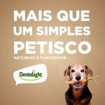 VITAL FIBER - HASTE 100% VEGETAL - TAMANHO  M -  04 UNIDADES