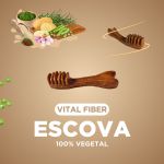 VITAL FIBER - HASTE 100% VEGETAL - TAMANHO  M -  04 UNIDADES