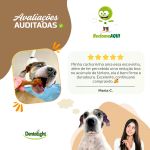 VITAL FIBER - HASTE 100% VEGETAL - TAMANHO  M -  04 UNIDADES