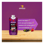 Smoothie Acai Zero 250ml Amazoo Sabores