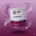 Palatinose Vegano 300g Alto Desempenho Fisico Ocean Drop