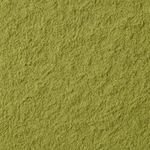 Cha de Quebra Pedra em Po 100g Natural Ervas Premium