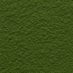 Cha Verde Nacional em Po 100g Natural Ervas Premium
