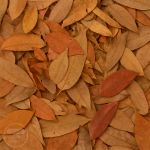 Cha Diabetes Blend