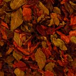 Cha Hibisco Rosa Amora Blend