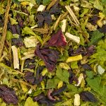 Blend Chá Antioxidante & Leveza Diária - Grupo Rocha Saúde