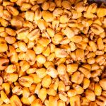 Milho Torrado Sabor Queijo Rocha Saúde