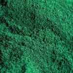 Spirulina em Po Emporio