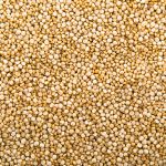 Quinoa Nacional em Graos Rocha Saúde