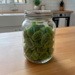 Kiwi Desidratado Cristalizado Sabor Exotico Rocha Saúde