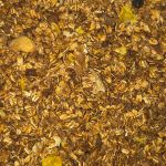 Granola Tradicional Rocha Saúde