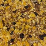 Granola com Nuts V Rocha Saúde