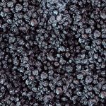 Blueberry Importado Fruta Seca Rocha Saúde