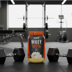 Whey Protein 100% 21g Proteina Sabores 900g New Millen