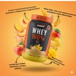 Whey Protein 100% 21g Proteina Sabores 900g New Millen