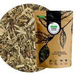 Cha de Hissopo Hyssopus Officinalis Rocha Saude 100% Puro