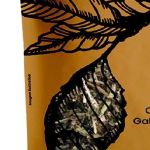 Cha de Picao Branco Galinsoga Parviflora Rocha Saude 100%