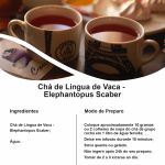 Chá de Língua de Vaca Elephantopus scaber Rocha Saúde 100%