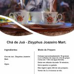 Chá de Juá Ziziphus joazeiro Rocha Saúde 100% Puro Livre de