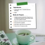 Cha de Ban Cha Camellia Sinensis (Bancha) Rocha Saude 100%