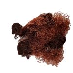 Cha de Cabelo de Milho Zea Mays L. Rocha Saude 100% Puro