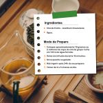 Cha de Endro Anethum Graveolens Rocha Saude 100% Puro Livre