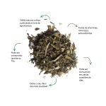 Cha de Alecrim do Campo Sache Natural Ervas Infusao Premium