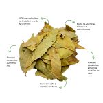 Cha de Graviola Sache Natural Ervas Infusao Premium