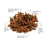 Cha de Anis Estrelado Sache Natural Ervas Infusao Premium
