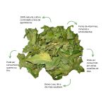 Cha de Nim Indiano Sache Natural Ervas Infusao Premium