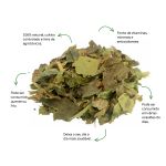 Cha de Guaco Sache Natural Ervas Infusao Premium Qualidade