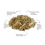 Cha de Carqueja Amarga Sache Natural Ervas Infusao Premium