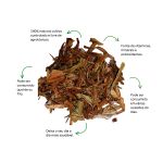 Cha de Agriao Sache Natural Ervas Infusao Premium Qualidade