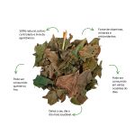 Cha de Avenca Sache Natural Ervas Infusao Premium Qualidade