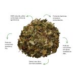 Cha de Hamamelis Sache Natural Ervas Infusao Premium