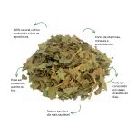 Cha de Bugre Sache Natural Ervas Infusao Premium Qualidade