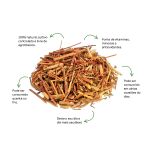 Cha de Cambara Sache Natural Ervas Infusao Premium Qualidade