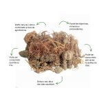 Cha de Carapia Sache Natural Ervas Infusao Premium Qualidade