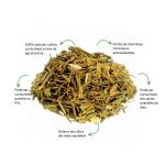 Cha de Carqueja Doce Organica Sache Natural Ervas Infusao