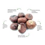 Cha de Castanha da India Sache Natural Ervas Infusao Premium