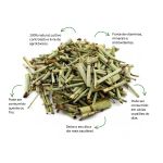 Chá de Cavalinha Puro Sachê Leveza Natural Desinchar Grupo